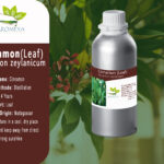 Huile essentielle de Cannelle feuille // Cinnamon leaf essential oil from Madagascar