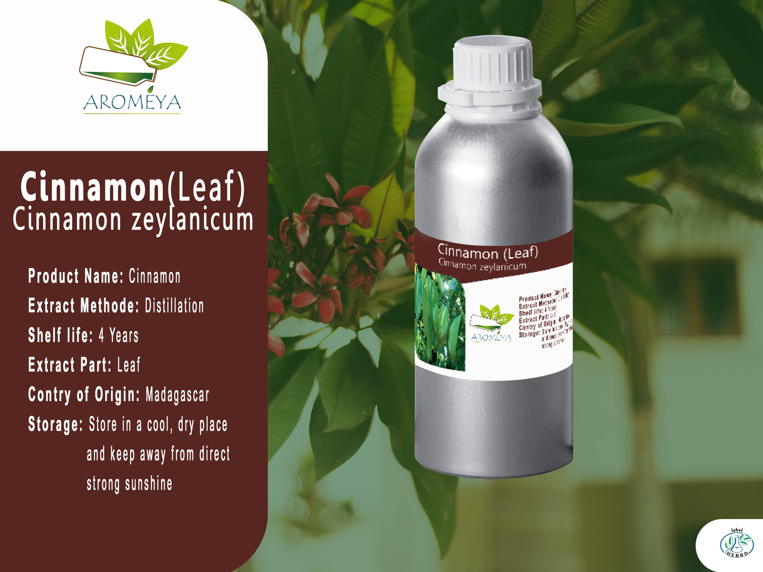 Huile essentielle de Cannelle feuille // Cinnamon leaf essential oil from Madagascar
