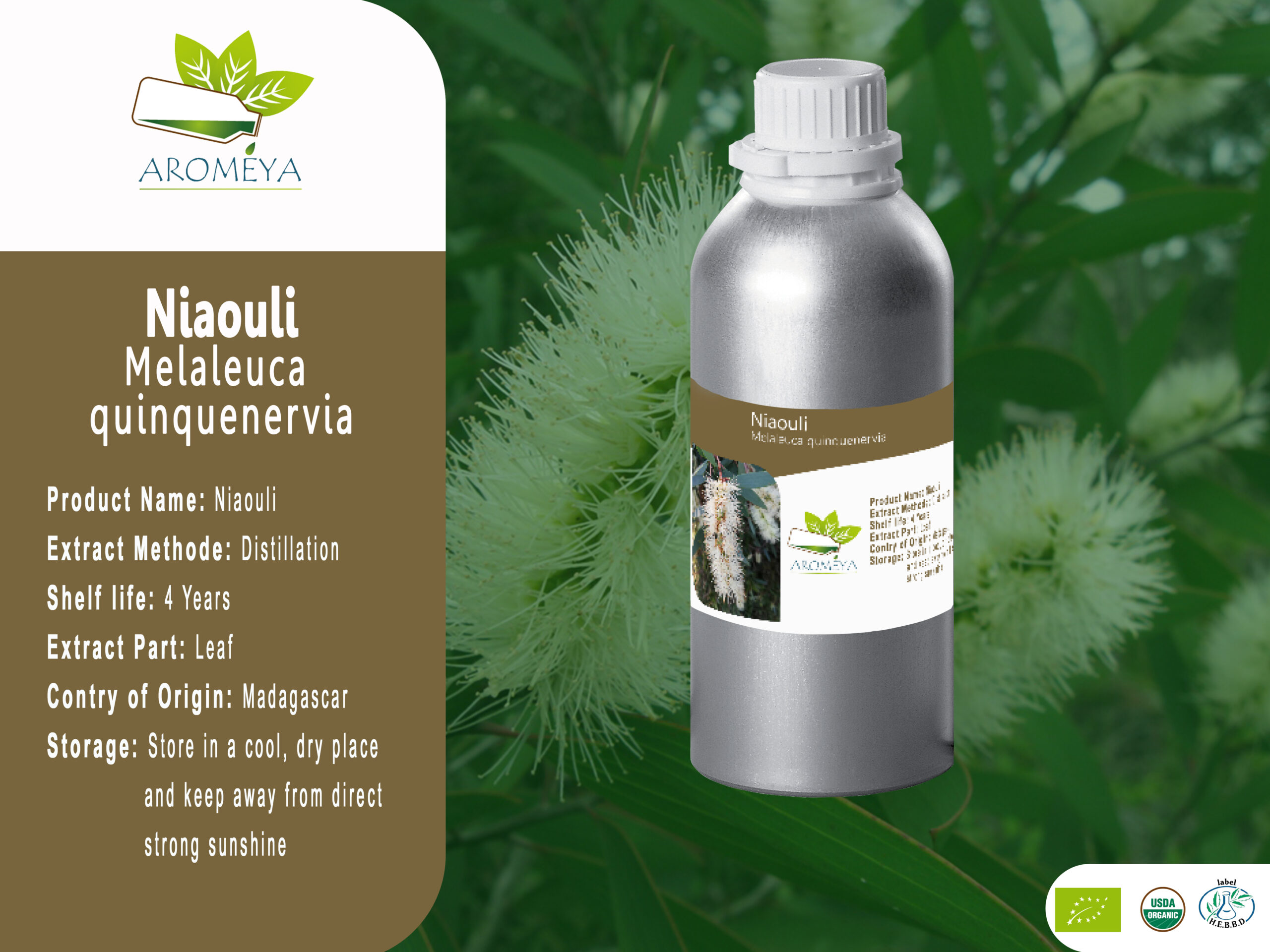 Huile essentielle de Niaouli // Niaouli essential oil from Madagascar