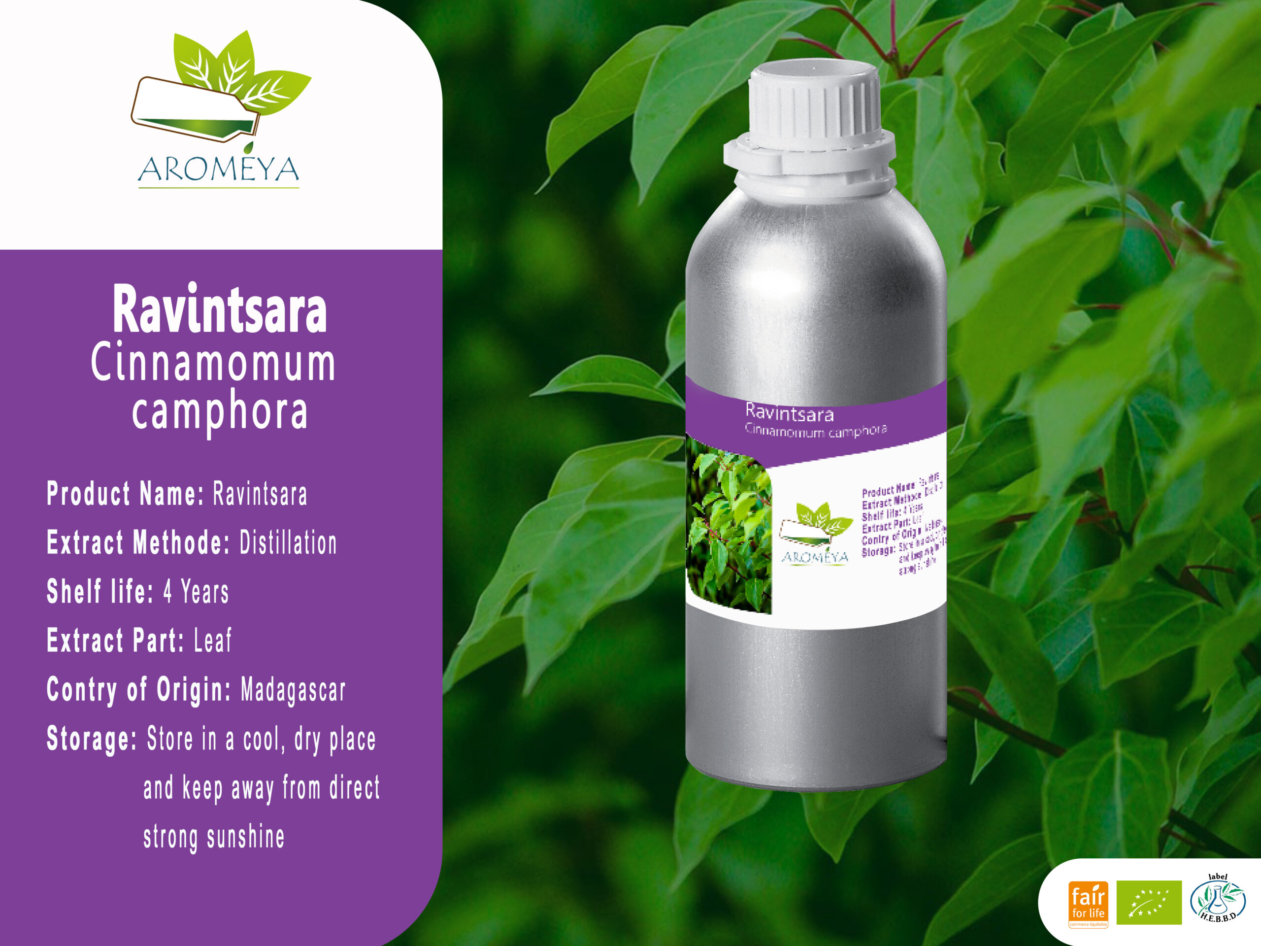 Huile essentielle de Ravintsara // Ravintsara essential oil
