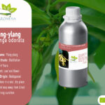 Huile essentielle d' Ylang-Ylang (Grade complete) // Ylang-Ylang (Grade complete) essential oil from Madagascar