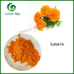 Marigold Extract,Lutein,chenlv herb