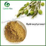 chenlvherb,Olive leaf extract,Hydroxytyrosol 