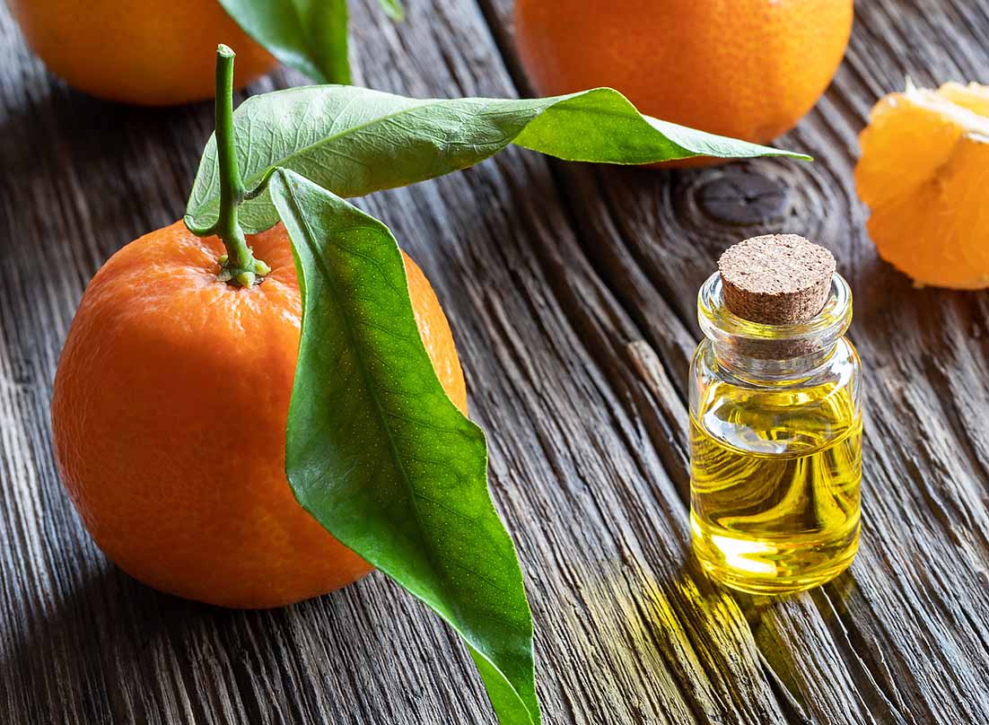 Orange Oil 1-Fold Tropical Biotek