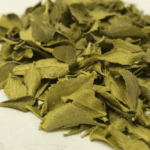 Buchu Leaf Oil Tropical Biotek Ingredients