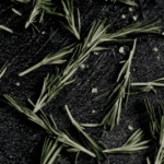Rosemary Oil Tropical Biotek Ingredients