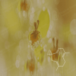 CL-460 Alpha Humulene Van Aroma - TBI
