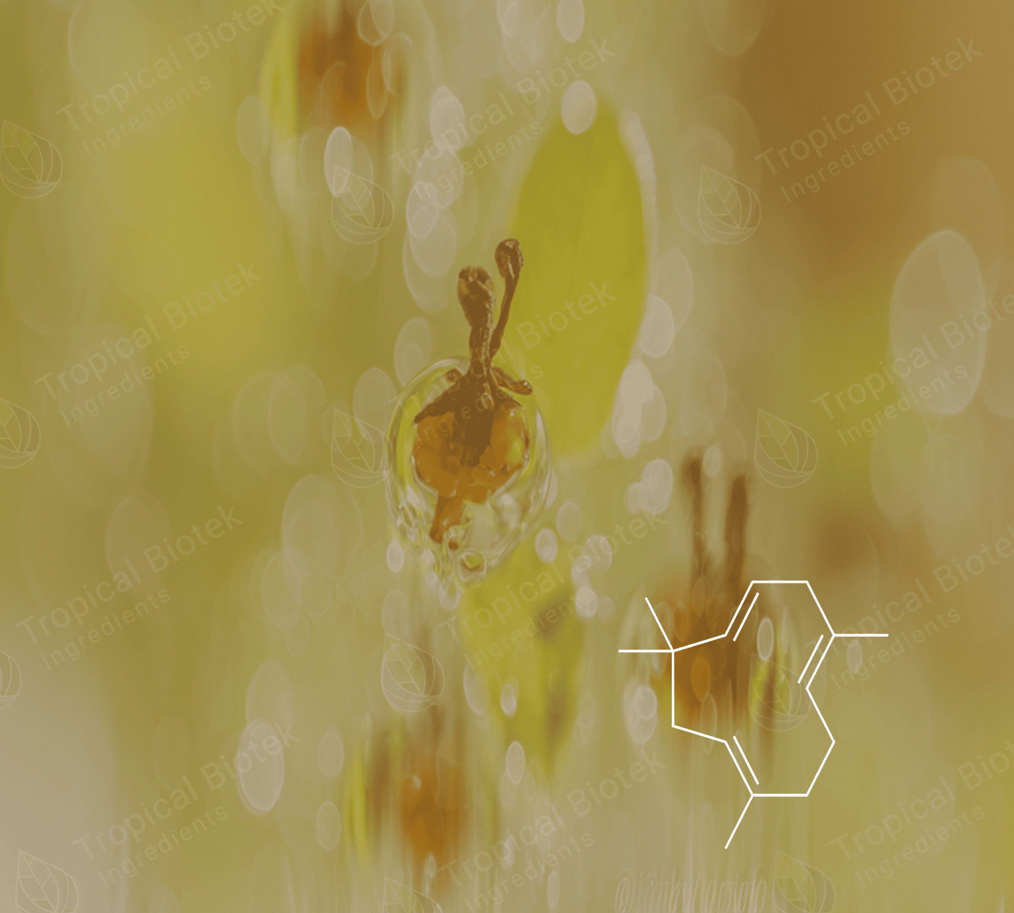 CL-460 Alpha Humulene Van Aroma - TBI