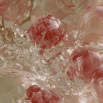 SY-001 Anisyl Acetone Van Aroma - TBI