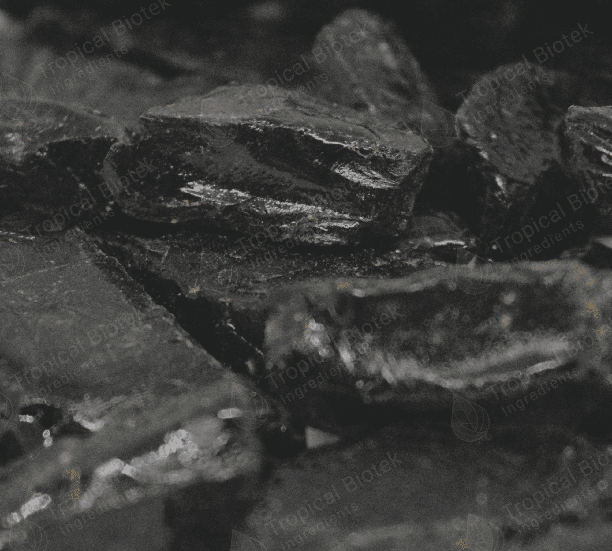 BZ-0201 Benzoin Crystals 100% Van Aroma - TBI