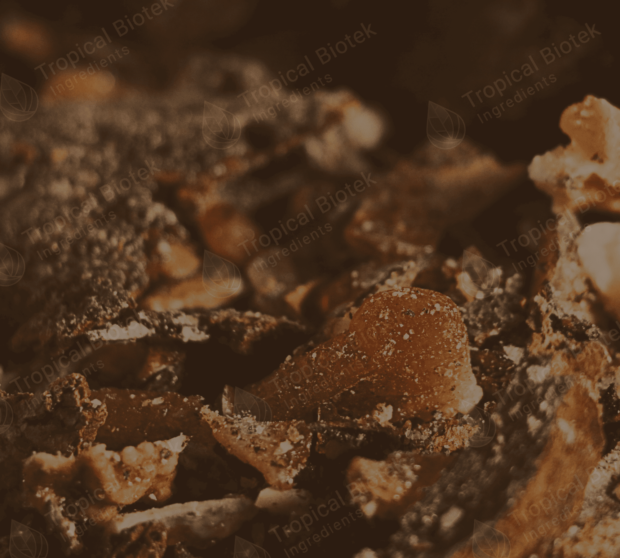 BZ-0103 Benzoin Resinoid 50% DPG Van Aroma - TBI