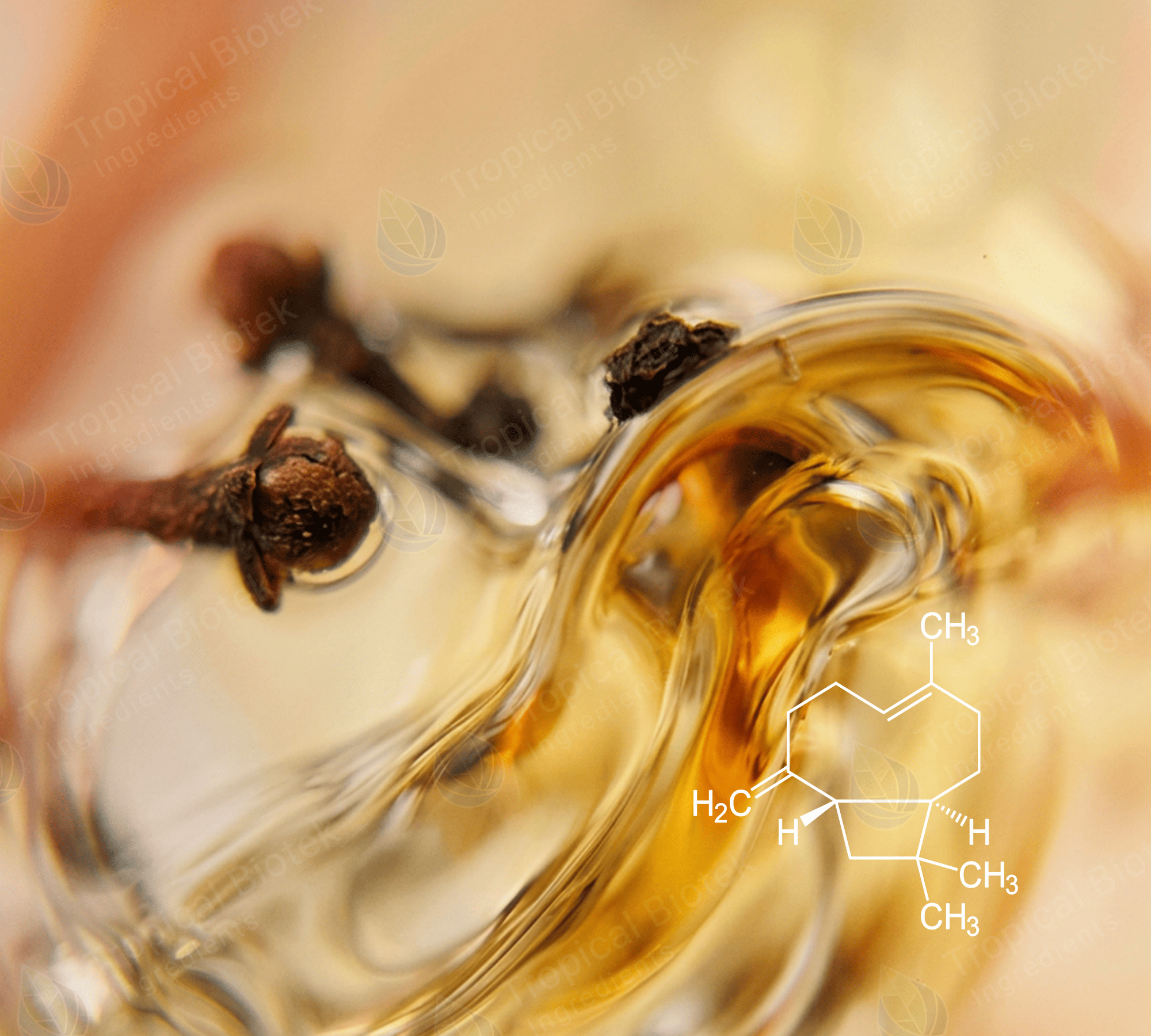 CL-601 Beta Caryophyllene 85% Van Aroma - TBI