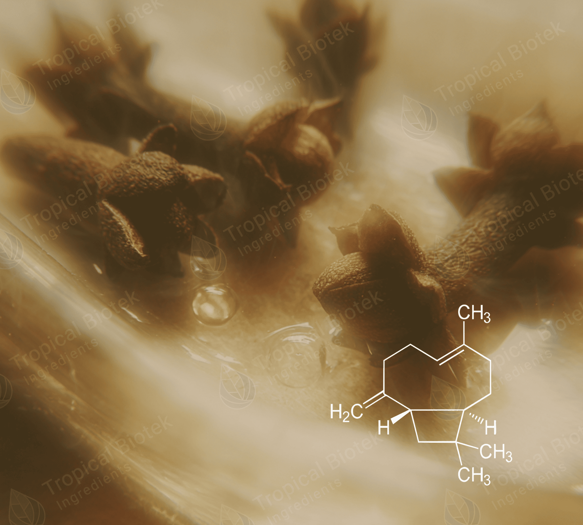 CL-603 Beta Caryophyllene 95% Van Aroma - TBI