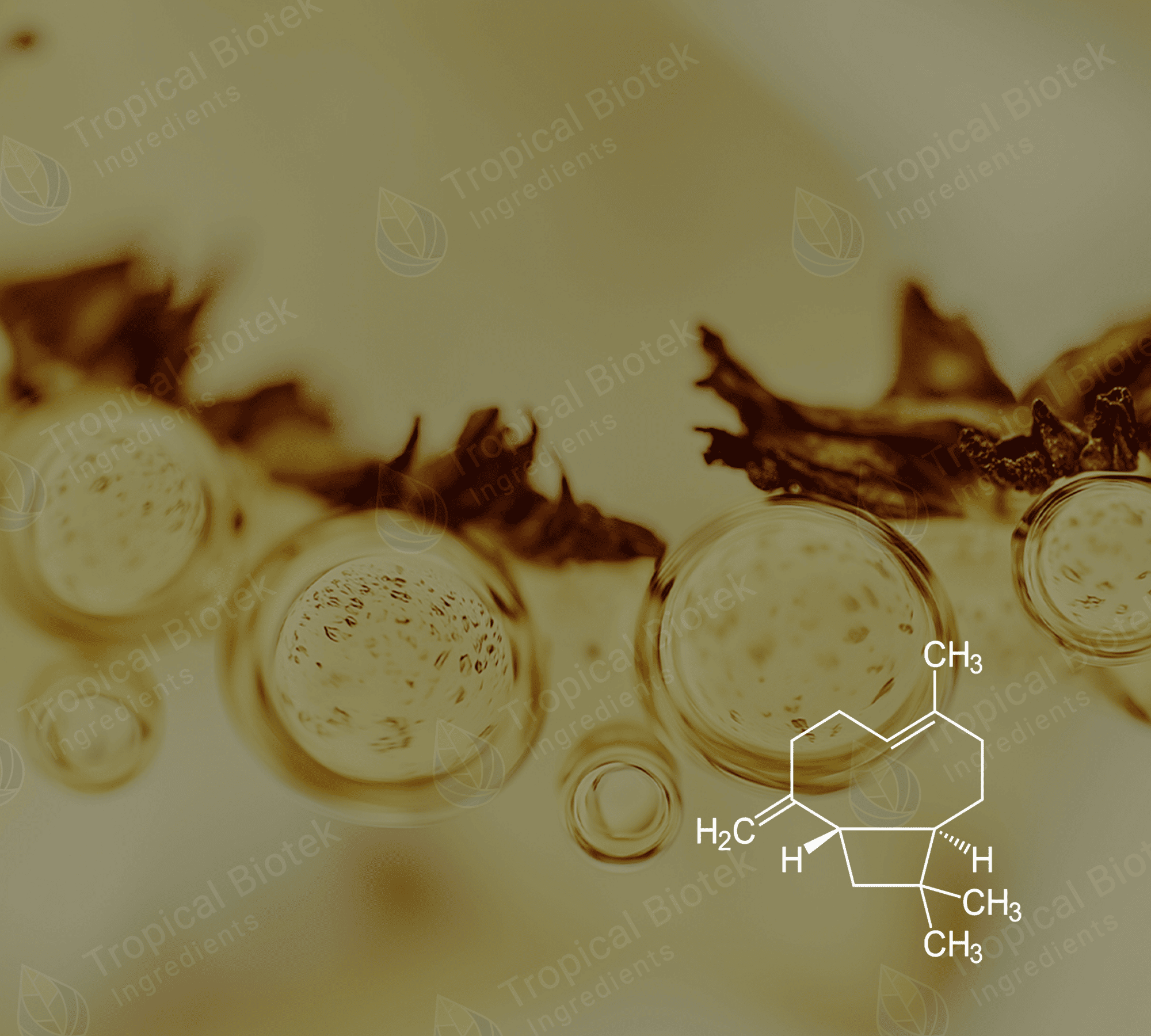CL-608 Beta Caryophyllene 98%+ Van Aroma - TBI