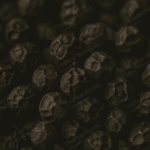 Black Pepper Oil CO2 Van Aroma - TBI
