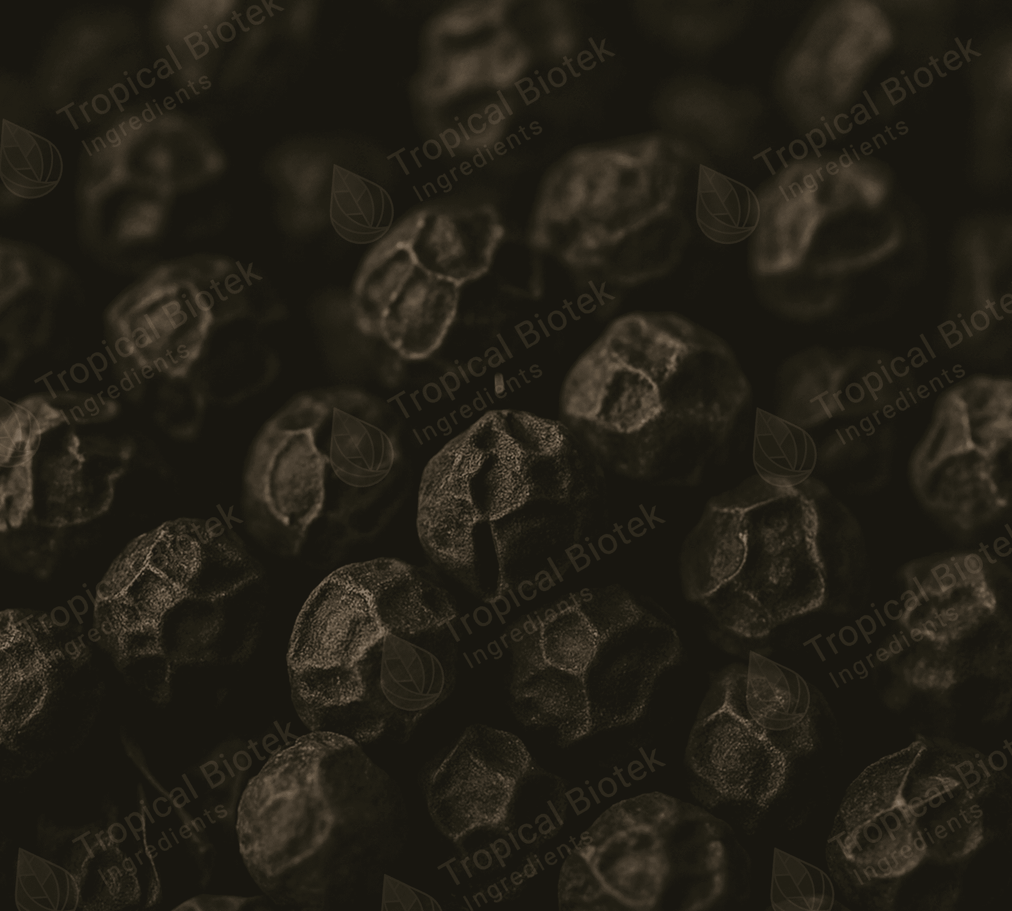 Black Pepper Oil CO2 Van Aroma - TBI