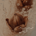 CL-502 - Eugenol USP Natural 99.5% Van Aroma - Tropical Biotek Ingredients