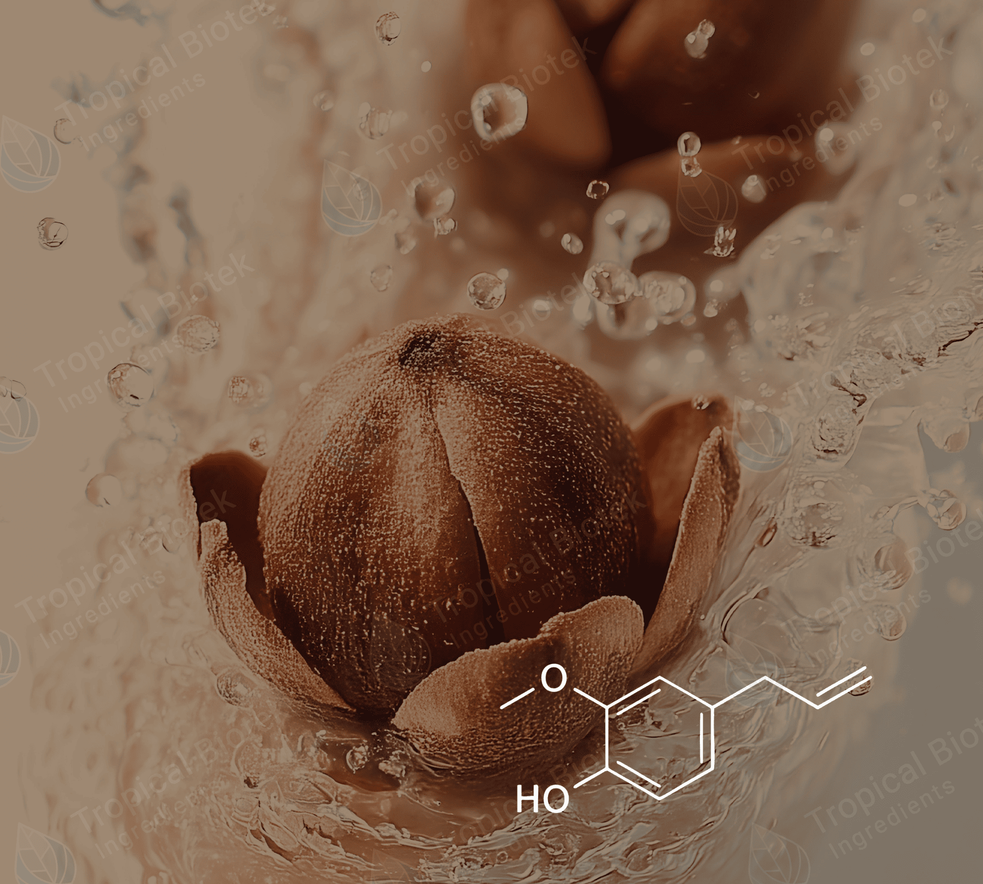 CL-502 - Eugenol USP Natural 99.5% Van Aroma - Tropical Biotek Ingredients