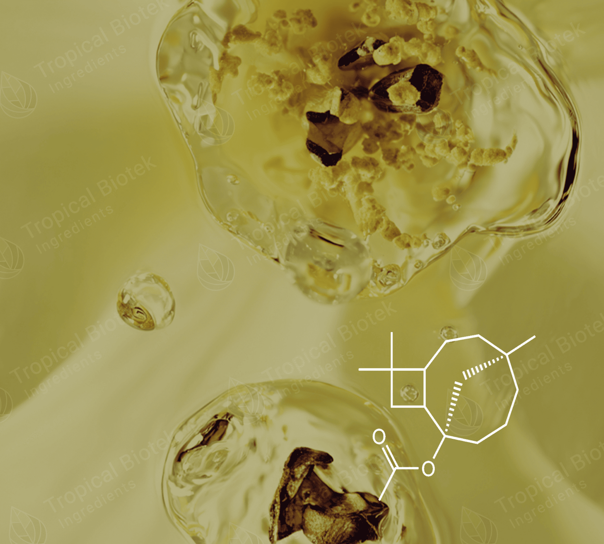 CL-604 Caryophyllene Acetate Van Aroma - TBI