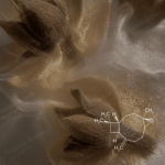 CL-605 Caryophyllene Oxide Natural Van Aroma - TBI