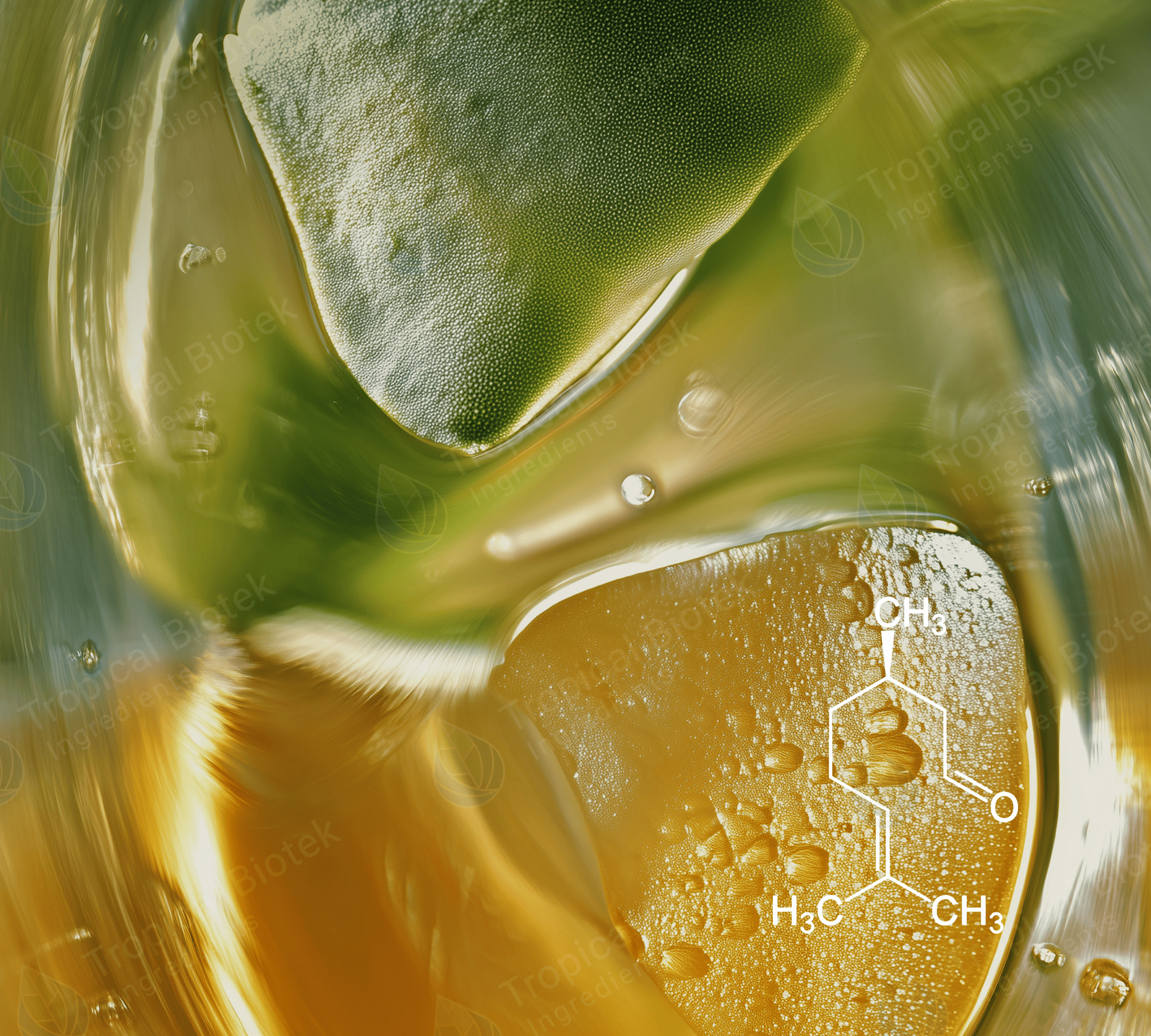 CT-101 Citronellal Natural 85%+ Van Aroma - TBI