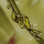 CT-103 Citronellal Natural 95%+ Van Aroma - TBI