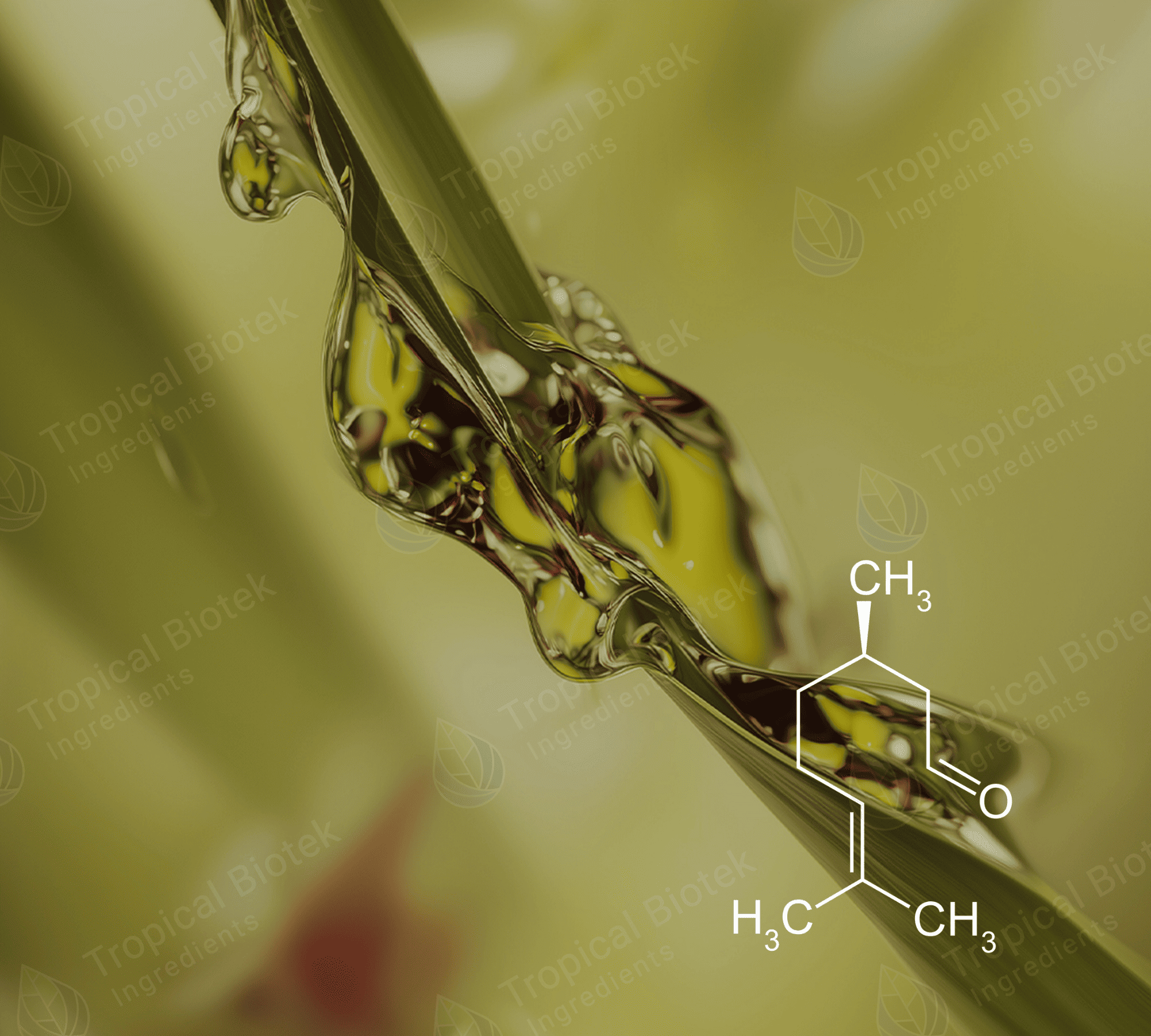 CT-103 Citronellal Natural 95%+ Van Aroma - TBI