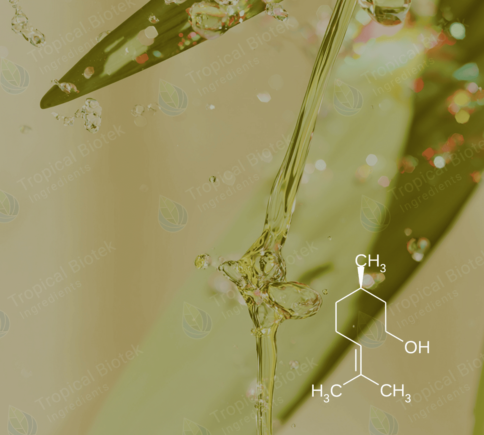 Citronellol Natural Van Aroma - TBI
