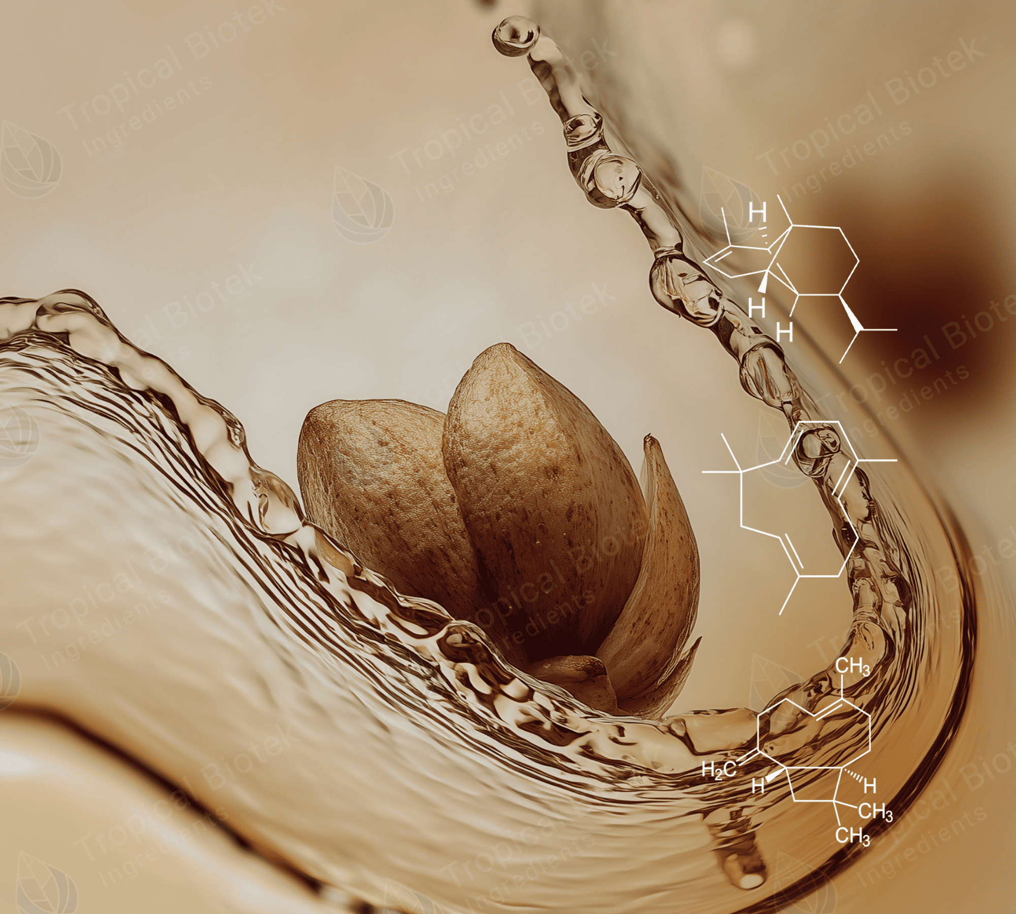 CL-477 Clove Terpenes Van Aroma - TBI