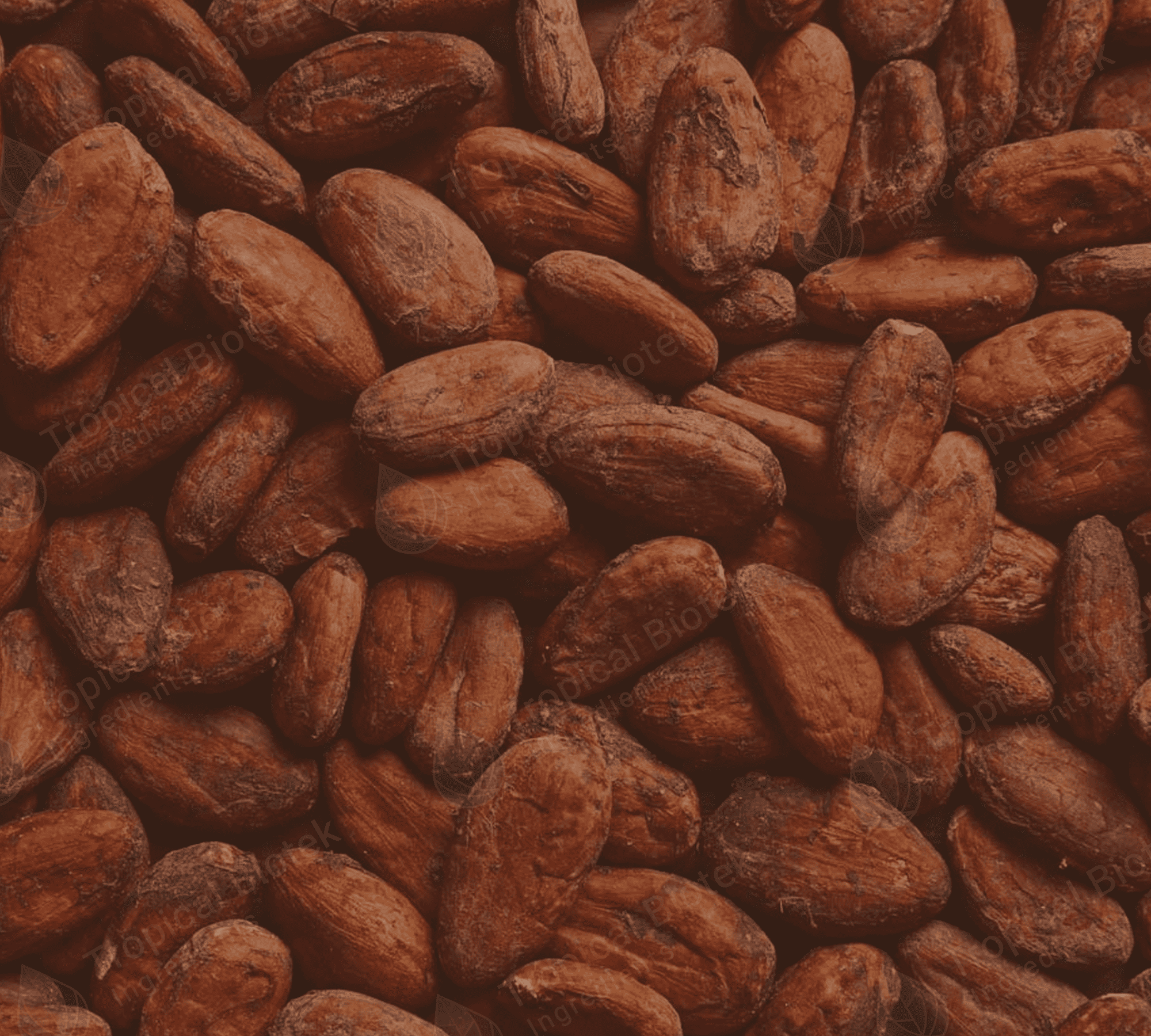 CC-001 Cocoa Extract / Butter - CO2 Van Aroma - TBI
