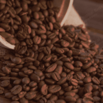 CF-0201 Coffee Arabica Extract Van Aroma - TBI