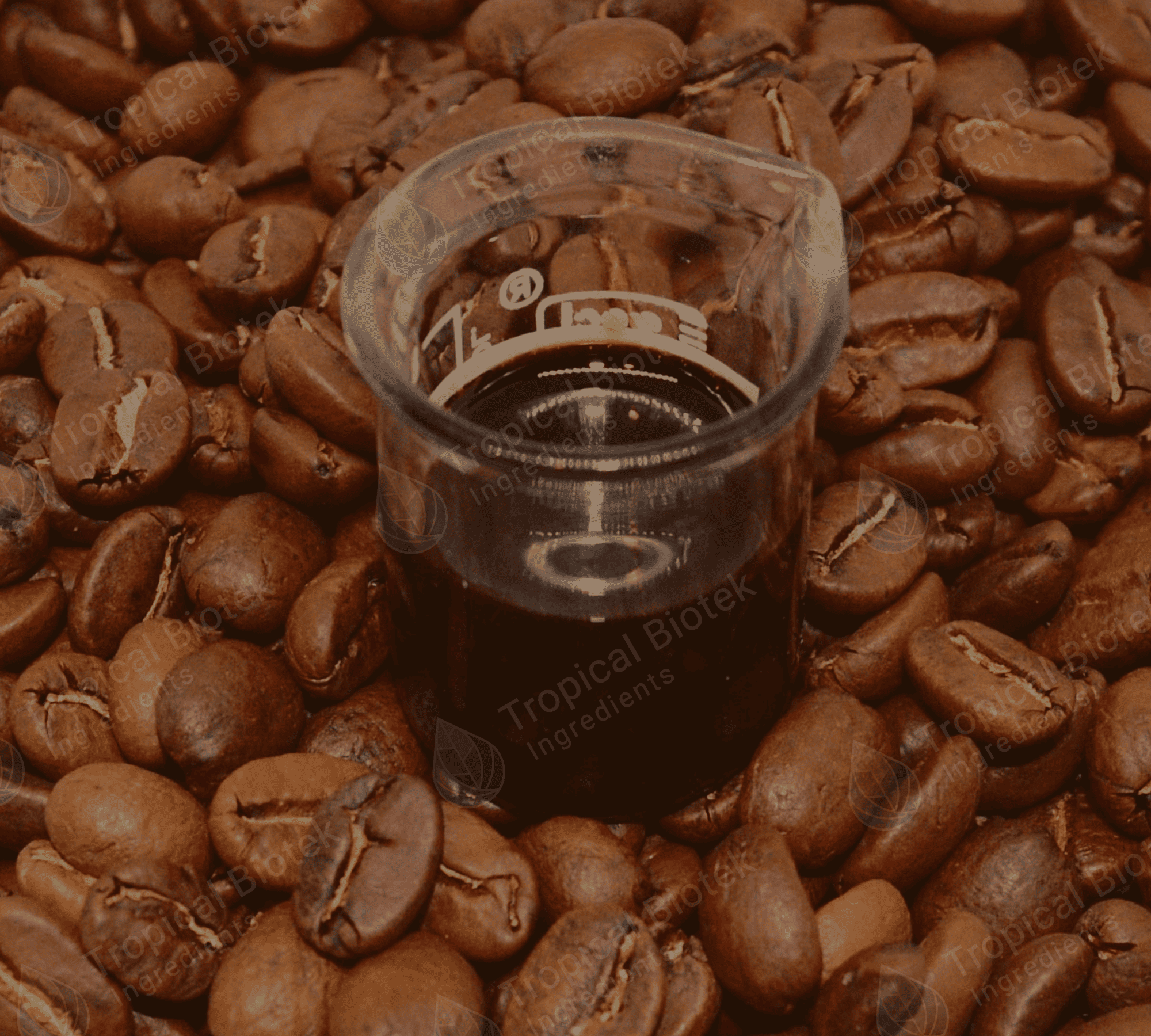 CF-001 Coffee Arabica Oil - CO2 Van Aroma - TBI