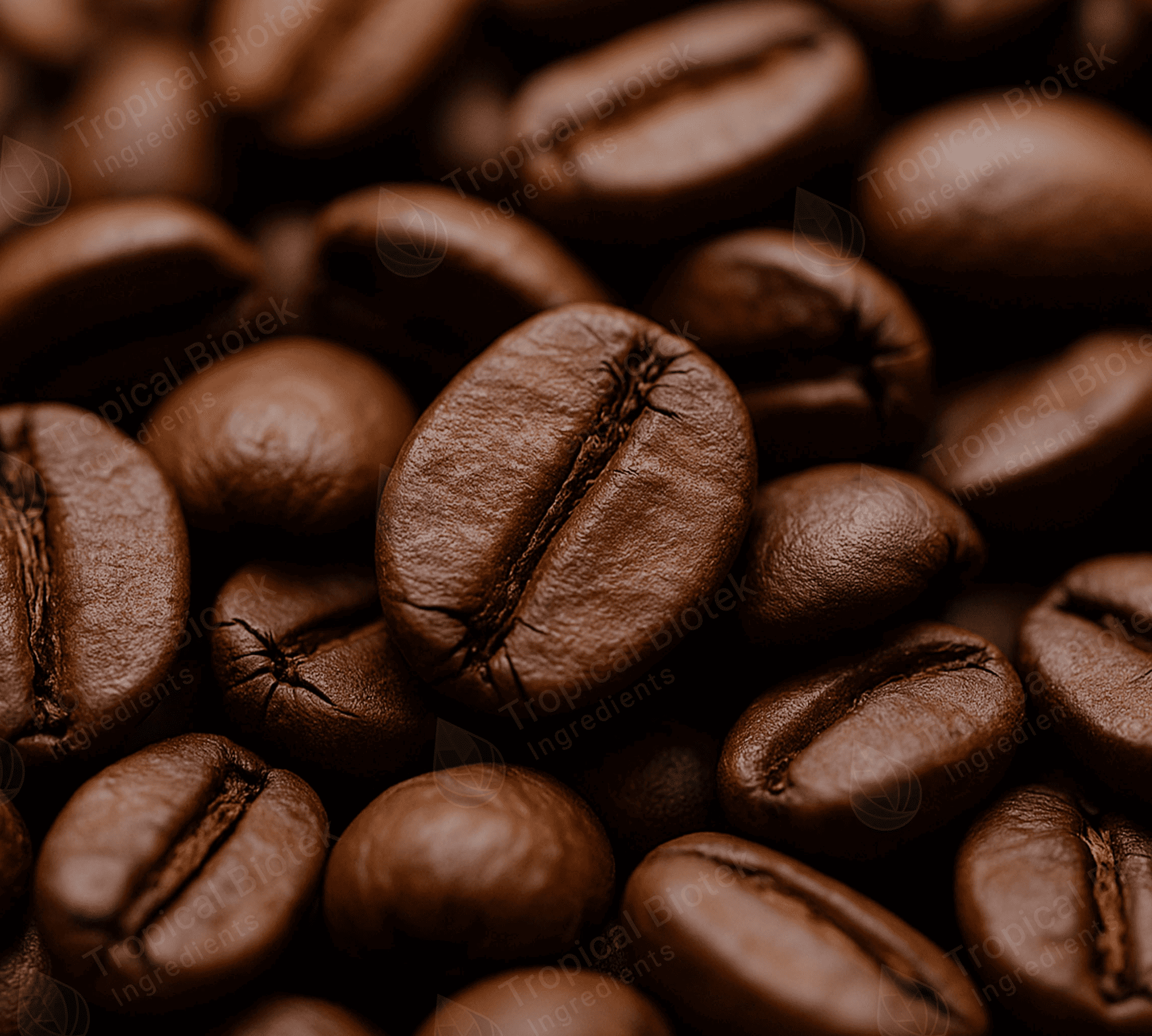 CF-0202 Coffee Robusta Extract Van Aroma - TBI