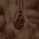 CF-002 Coffee Robusta Oil - CO2 Van Aroma - TBI