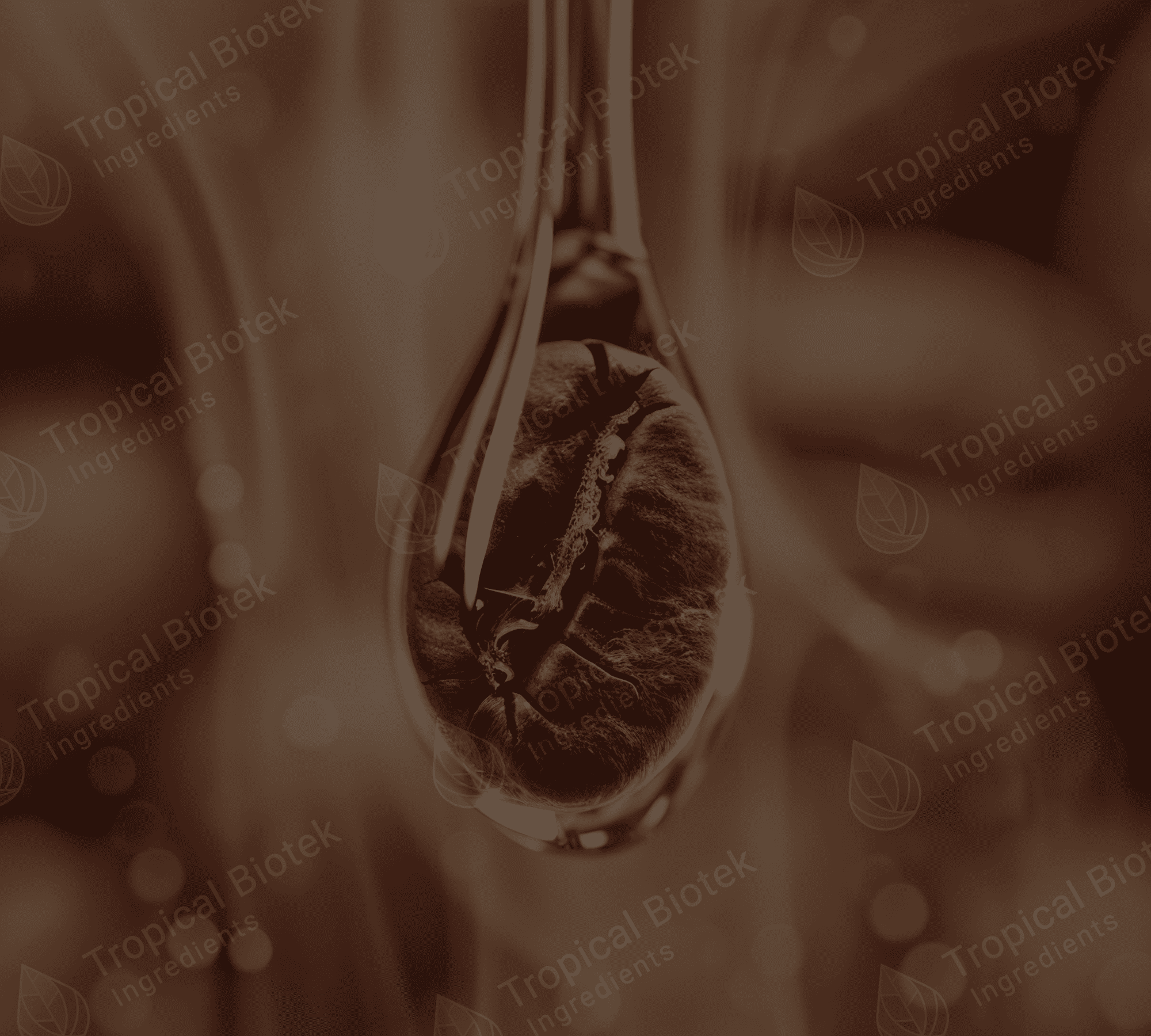 CF-002 Coffee Robusta Oil - CO2 Van Aroma - TBI