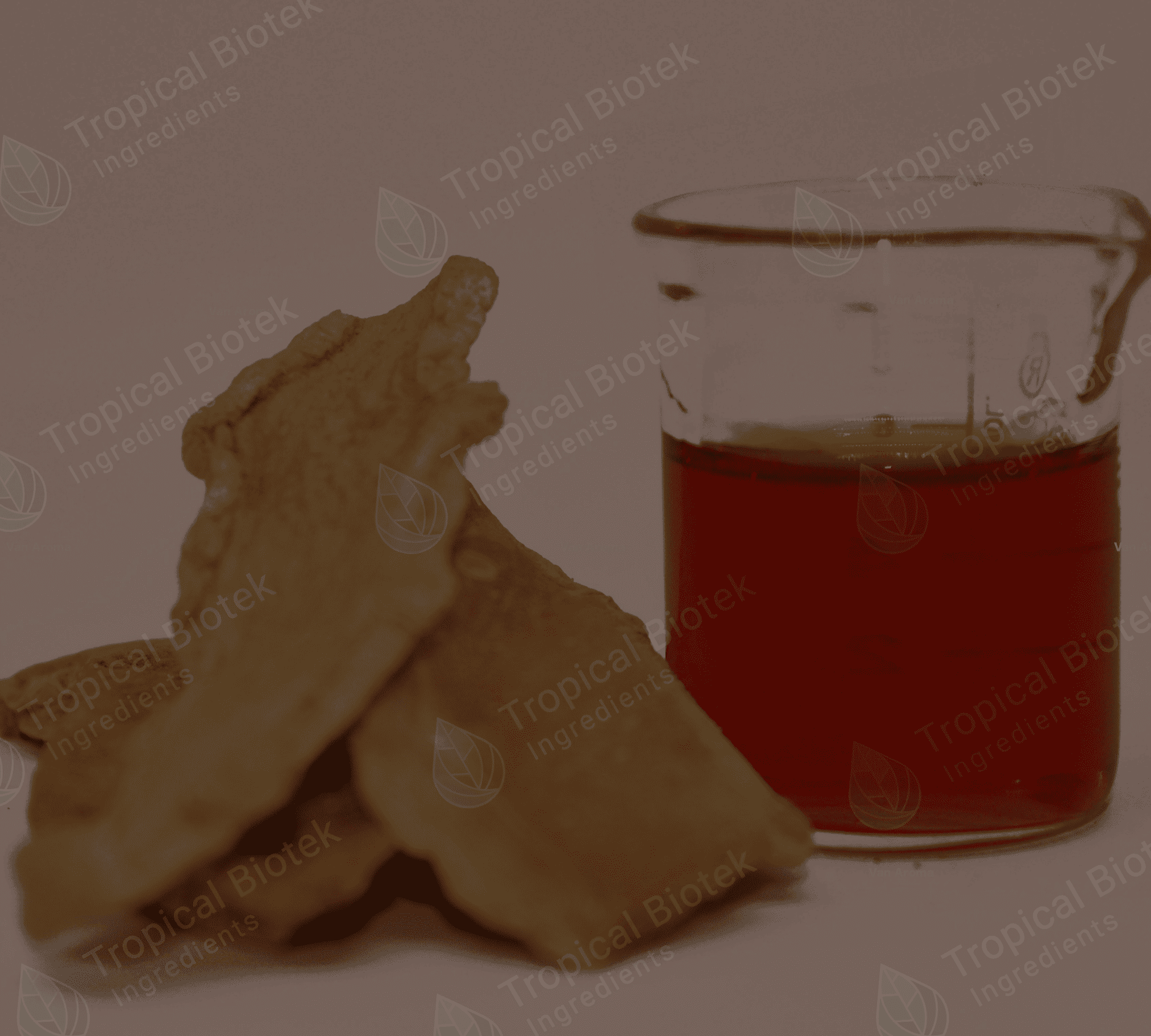 CU-0201 Curcuma Longa (Turmeric Extract) Van Aroma - TBI