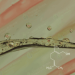 Geraniol Natural 85%+ Van Aroma - TBI