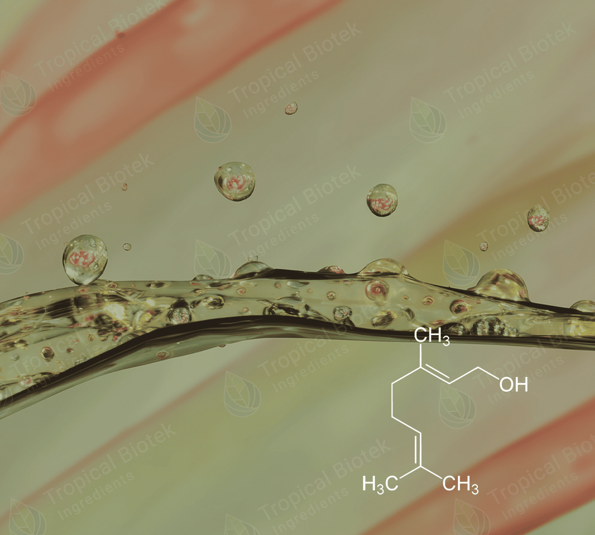 Geraniol Natural 85%+ Van Aroma - TBI