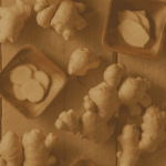 GN-0201 Ginger Extract Van Aroma - TBI