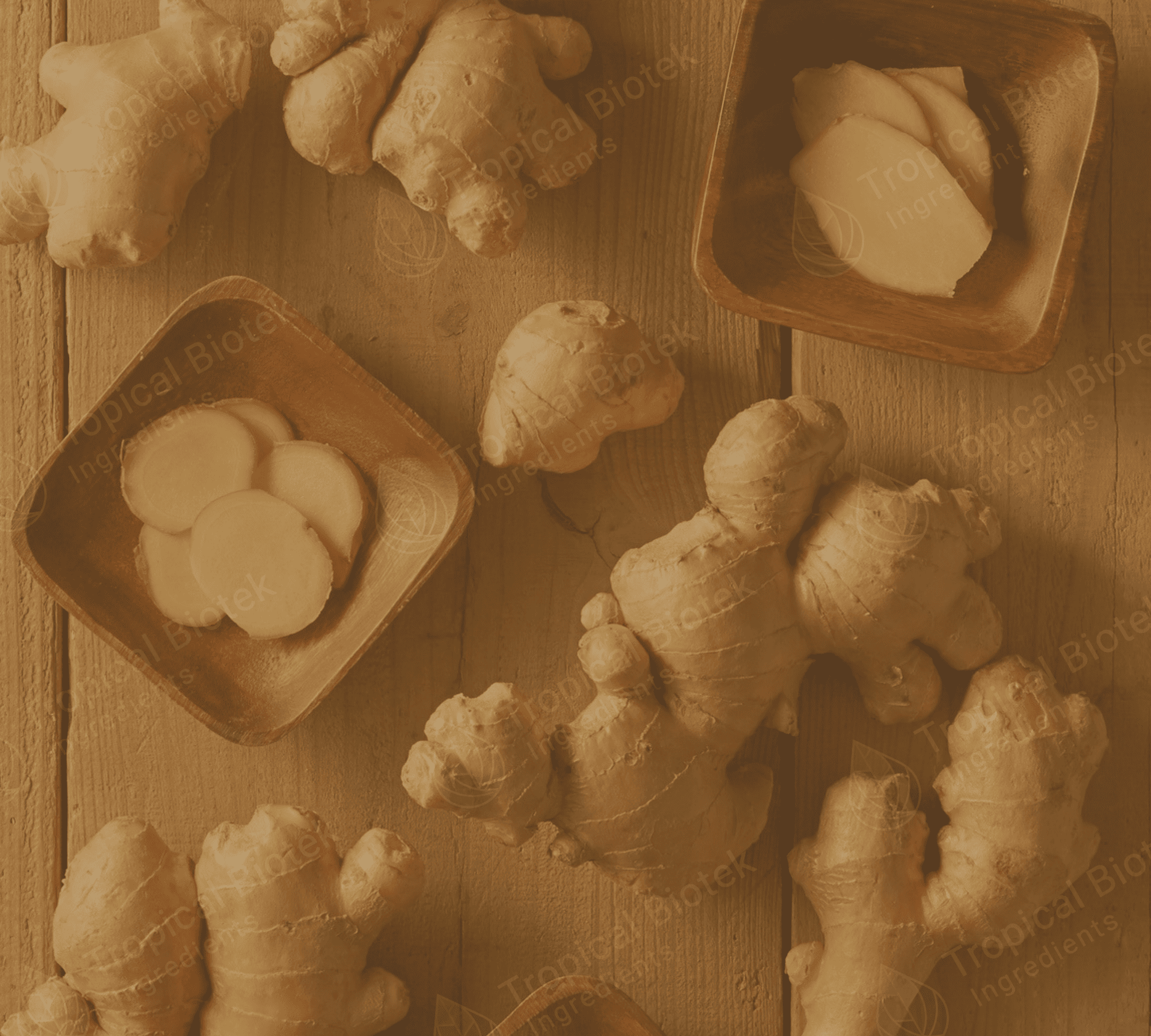 GN-0201 Ginger Extract Van Aroma - TBI