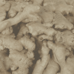 FG-003 Ginger Oil - CO2 Van Aroma - TBI