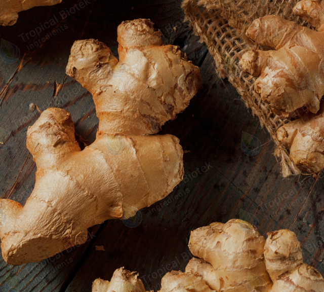 GN-0202 Ginger Oleoresin Van Aroma - TBI