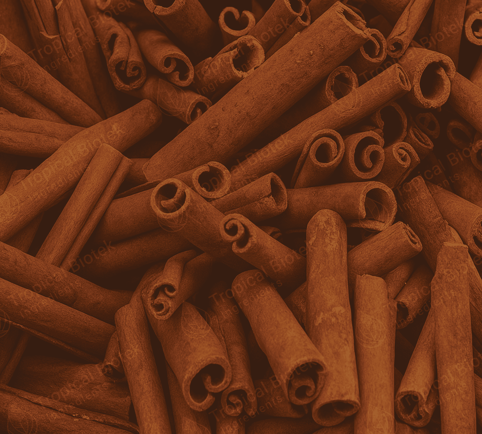 CV-001 Korintje Cassia Bark Oil - CO2 Van Aroma - TBI