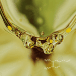 CL-801 Methyl Eugenol Van Aroma - TBI