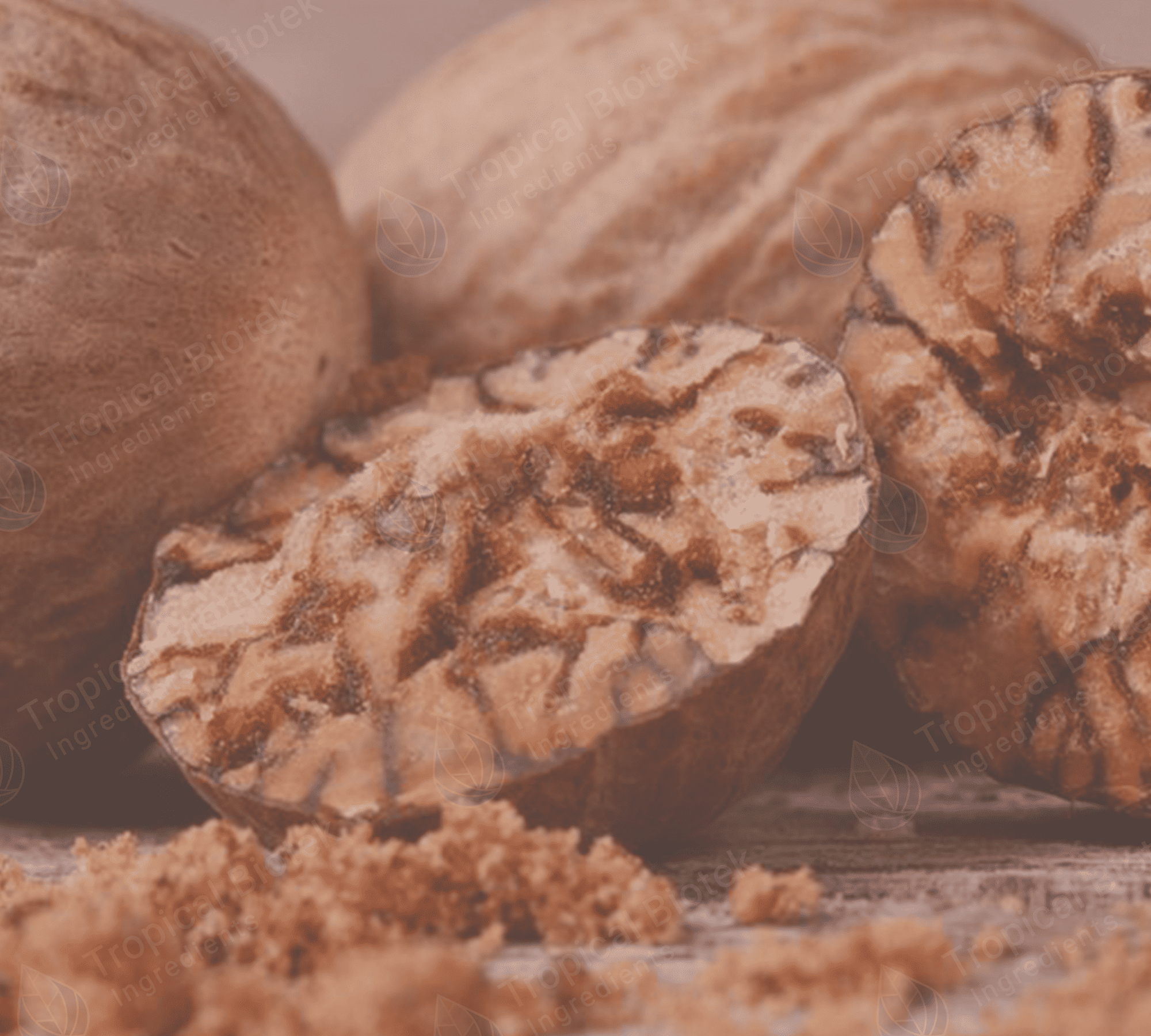Nutmeg Oil (Java | Bogor | 9% Myristicin) Van Aroma - TBI
