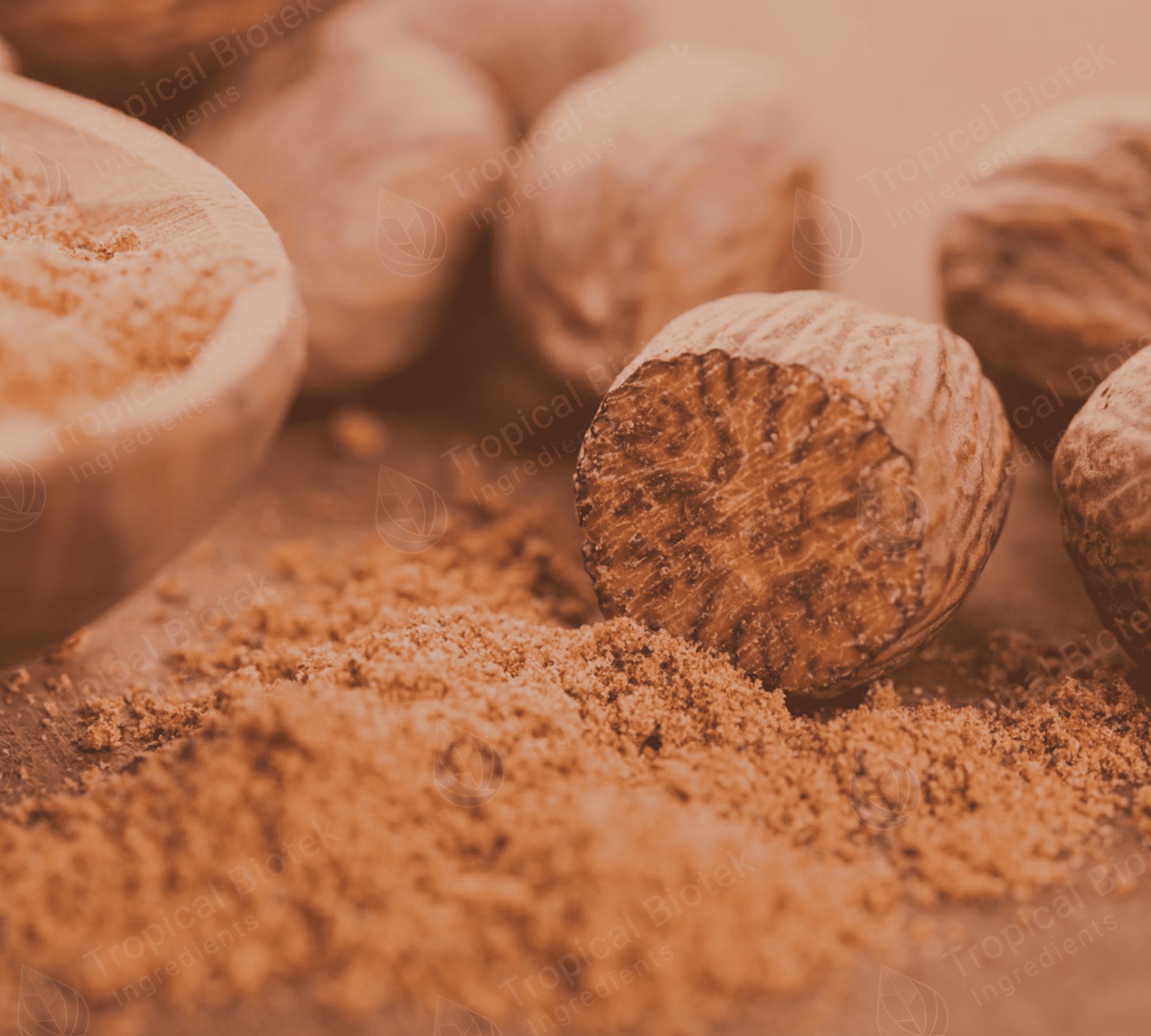 NM-004 Nutmeg Oil Safrole Free Van Aroma - TBI