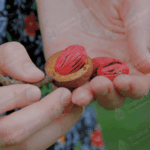NM-006 Nutmeg Oleoresin Van Aroma - TBI