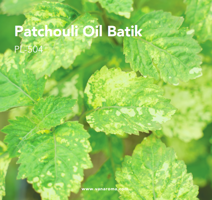 Patchouli Oil Batik