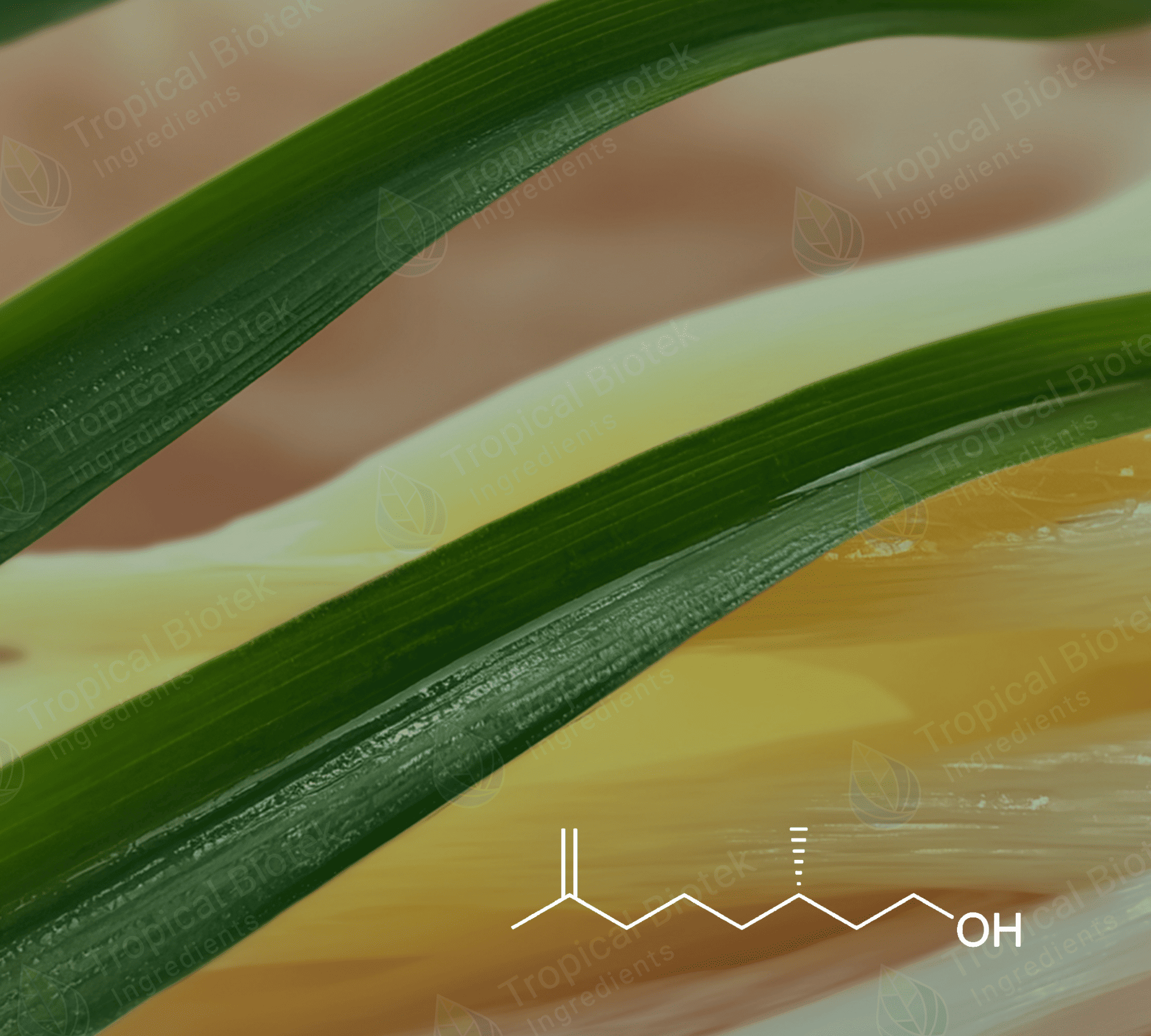 CT-301 Rhodinol Natural Van Aroma - TBI