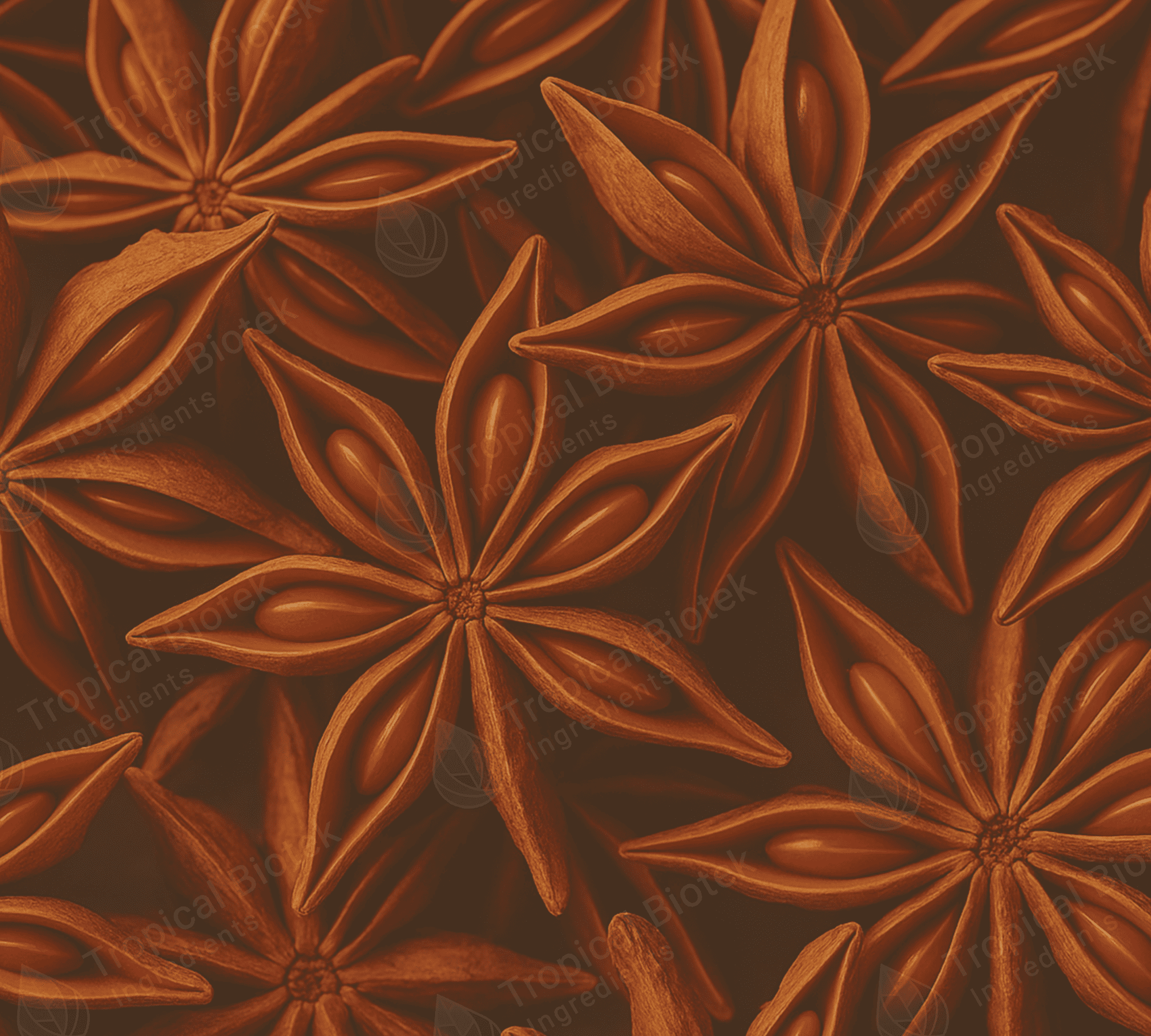 SA-001 Star Anise Oil Van Aroma - TBI